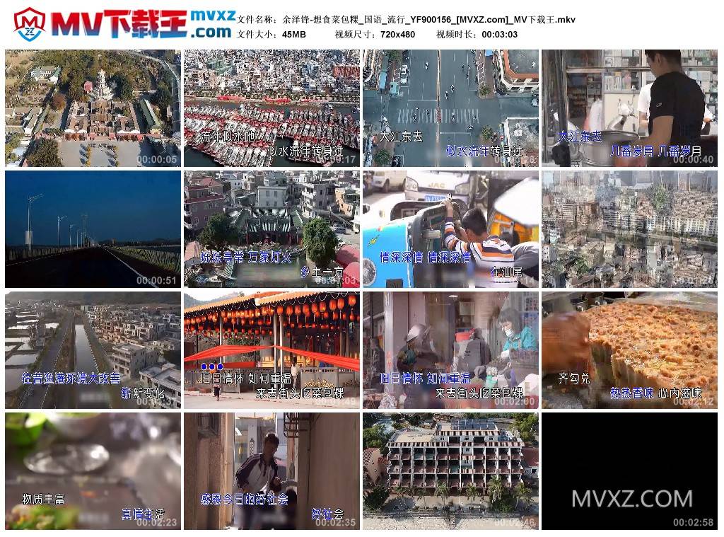 余泽锋-想食菜包粿_国语_流行_YF900156